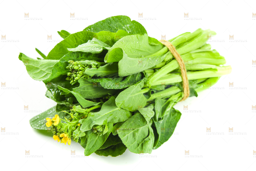 白底上的一把新鲜菜心