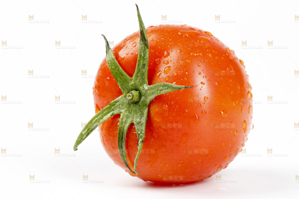 白底上的西红柿