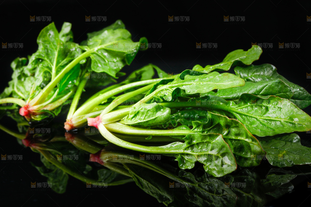 黑底上的菠菜