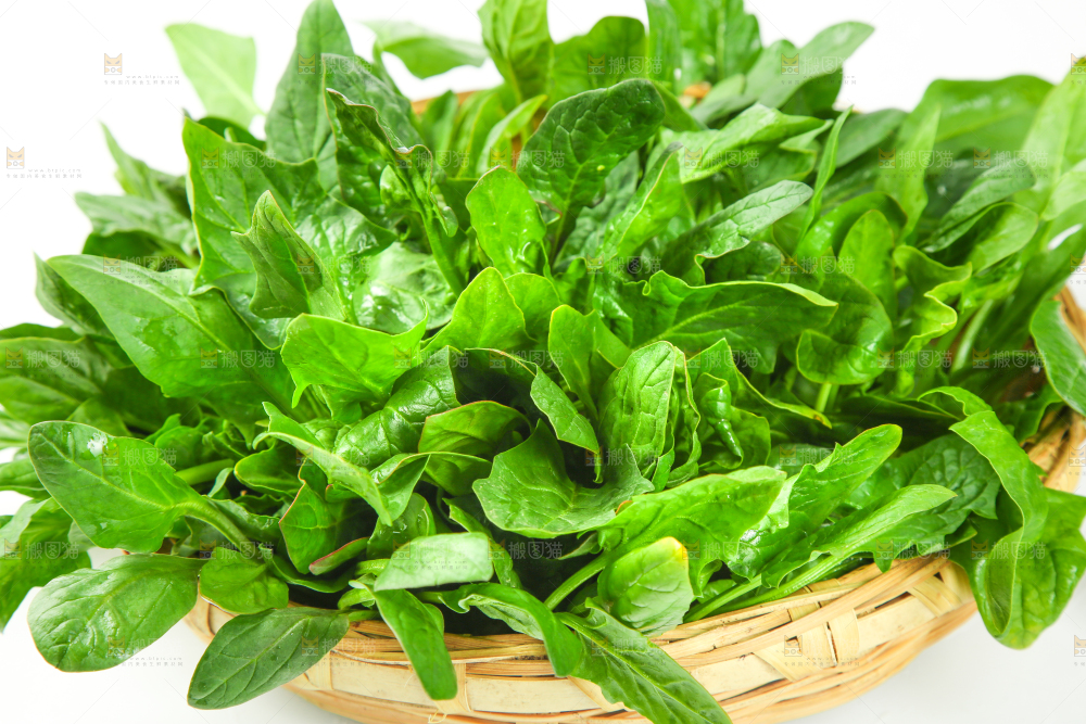 篮子里放着菠菜