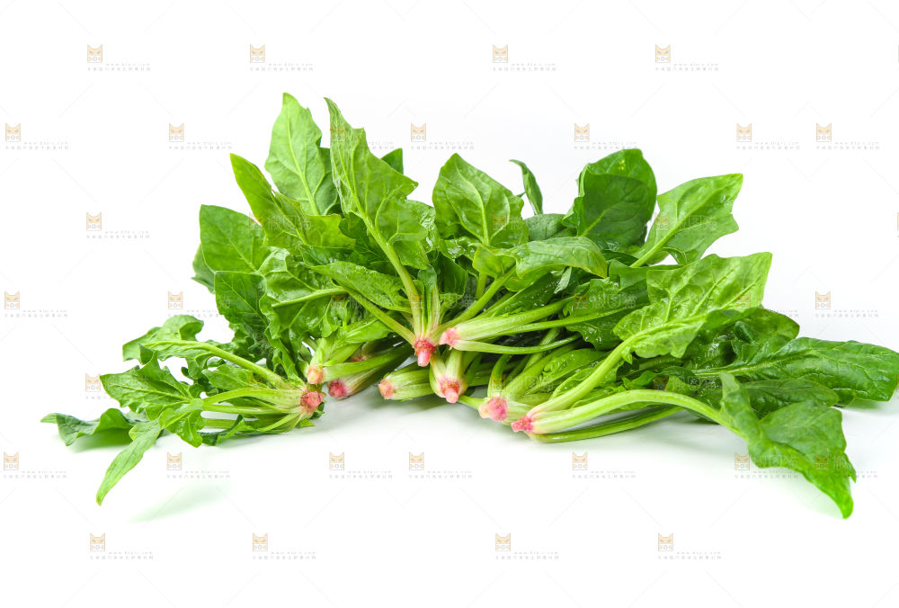 白底上放着新鲜菠菜