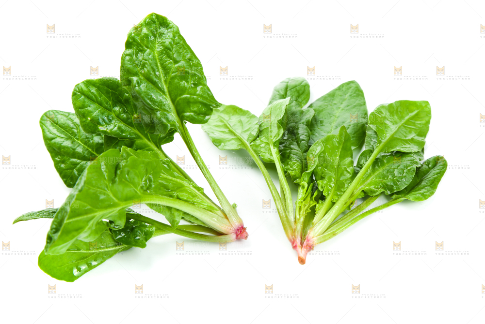 白底上放着新鲜菠菜