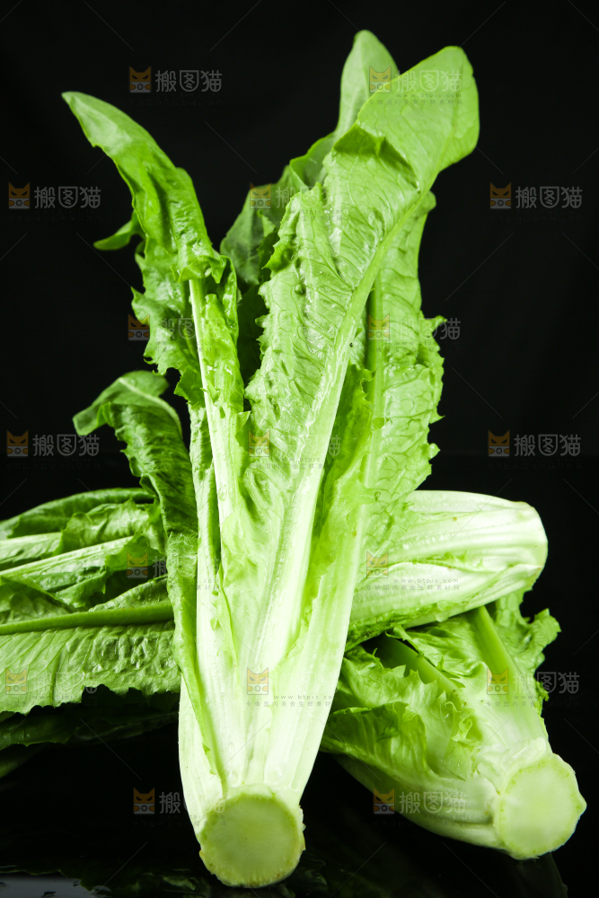 黑底上摆放着油麦菜