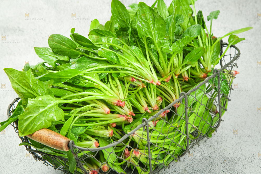 浅底上放着新鲜菠菜