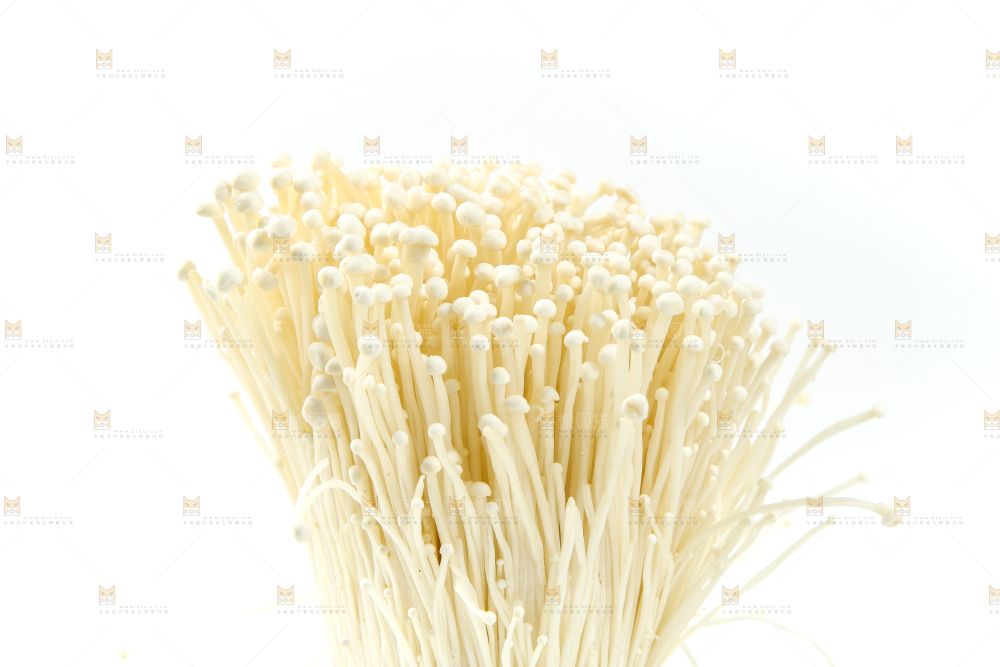 白底上的金针菇