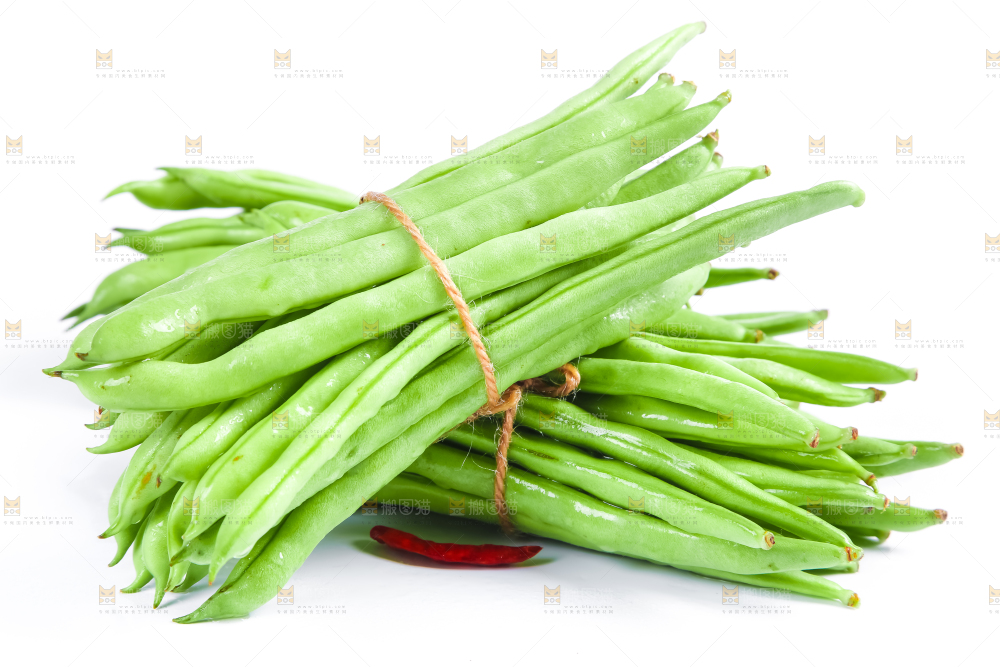 新鲜陕西四季豆放在白底上