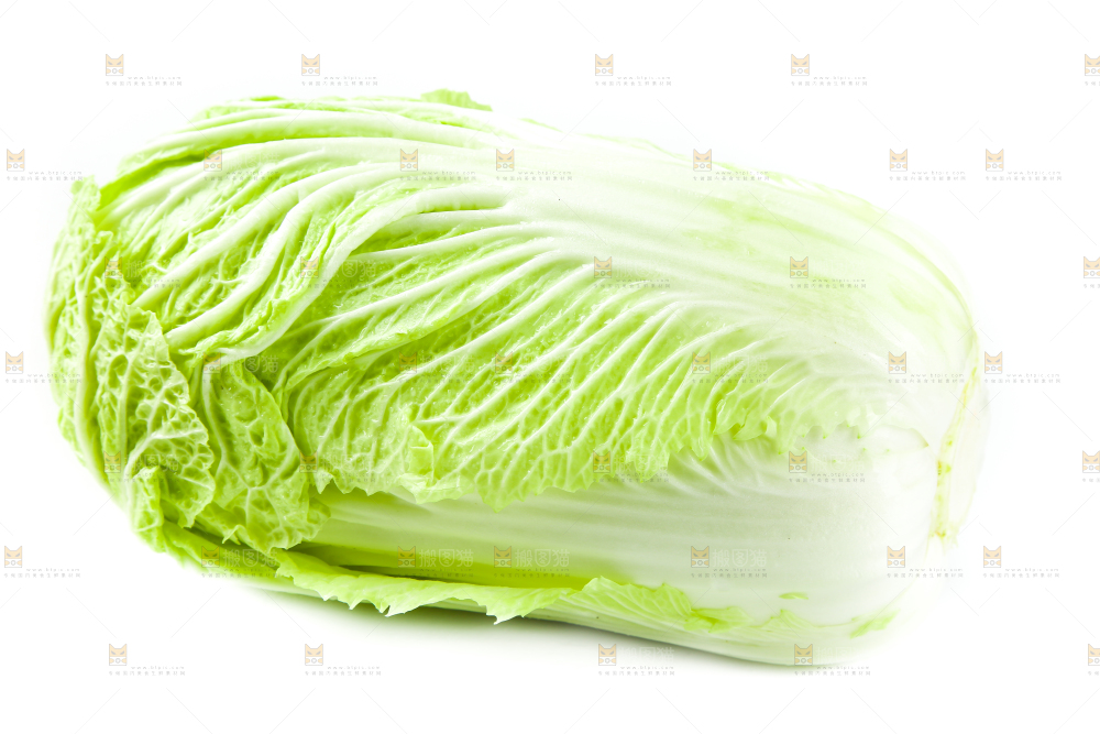 白底上放着大白菜