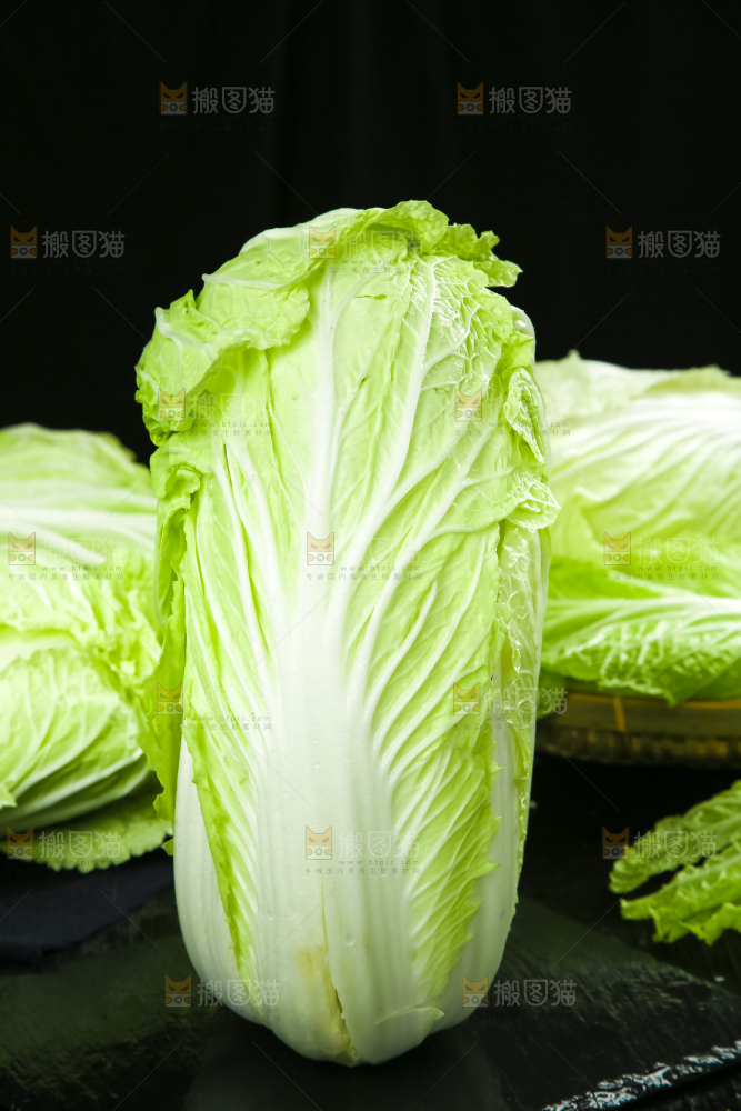 黑底上放着大白菜