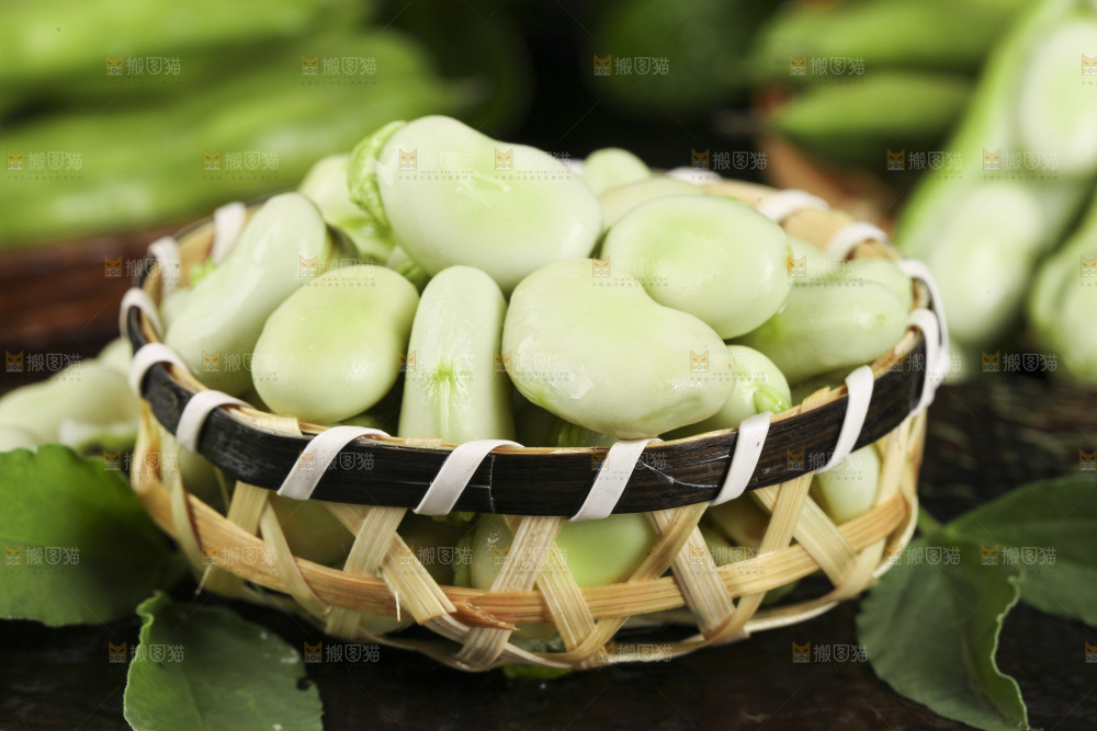 一筐新鲜云南蚕豆粒放在深底上