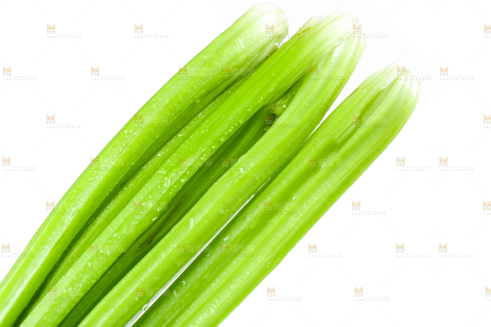 白底上放着新鲜芹菜