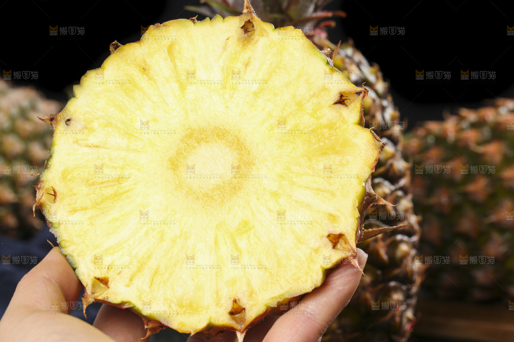 手拿切开的海南金钻凤梨