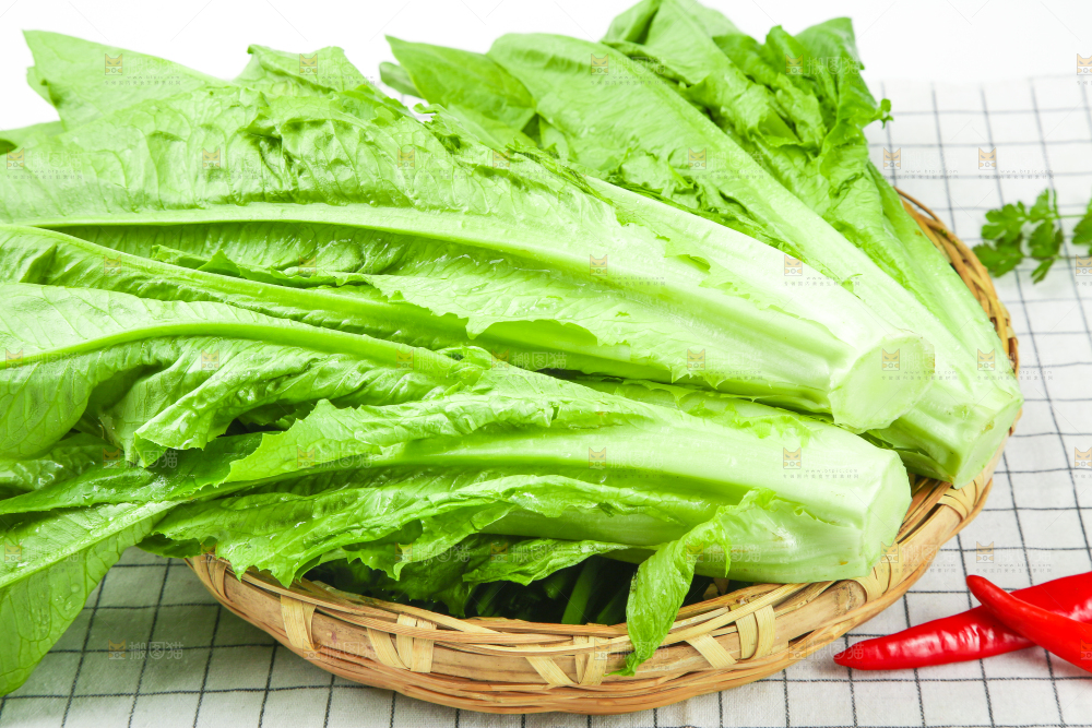 格子底上放着油麦菜