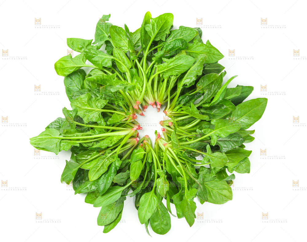 白底上放着新鲜菠菜