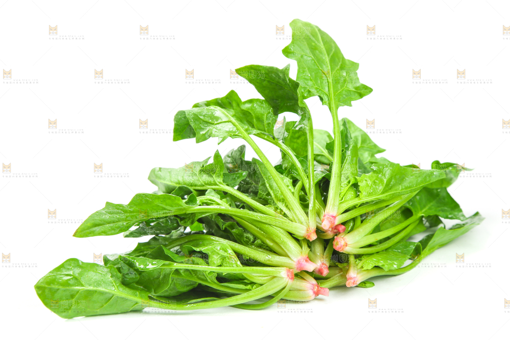 白底上放着菠菜
