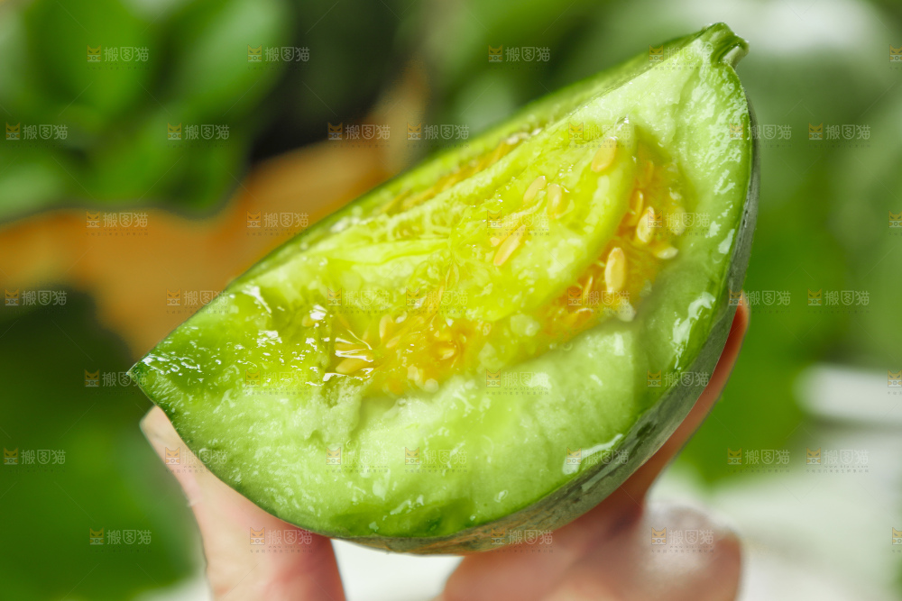 手上拿着绿宝石甜瓜