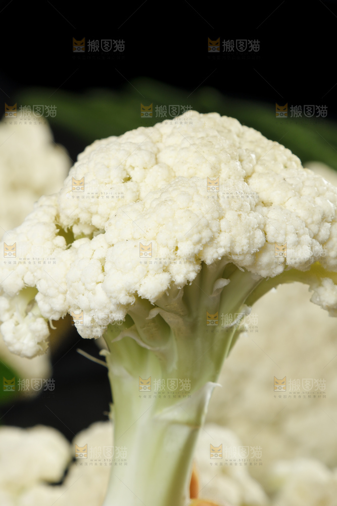 黑底上放着高山散花菜