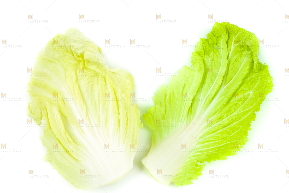 白底上放着白菜