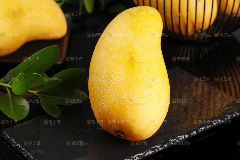 黑石板上放着新鲜的水仙芒