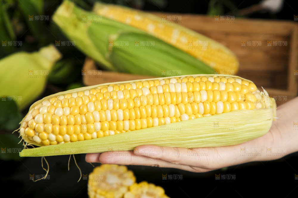 水果玉米