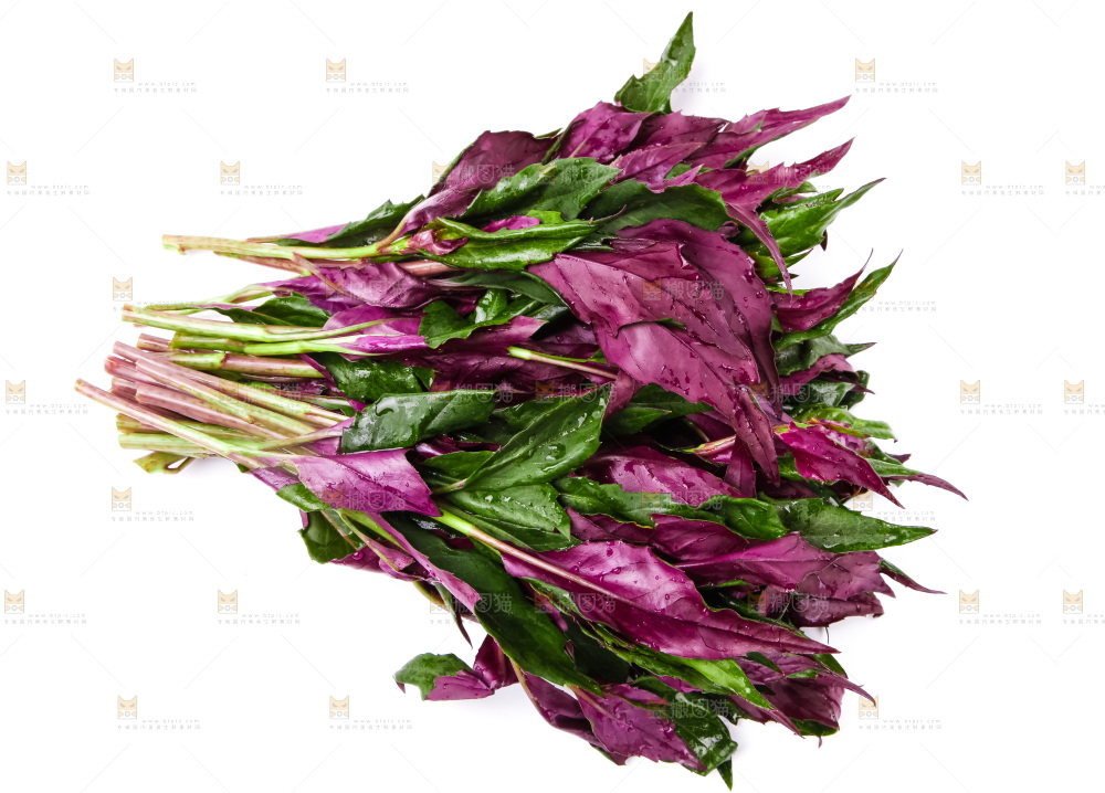 白底上摆放着血皮菜