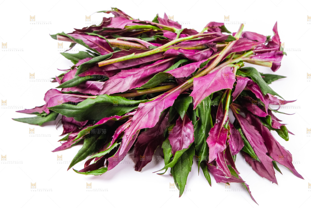 浅底上放着紫背菜