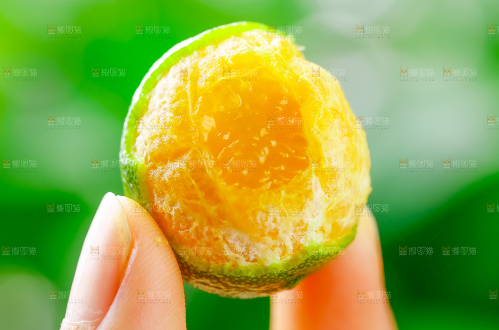 手里拿着小金桔