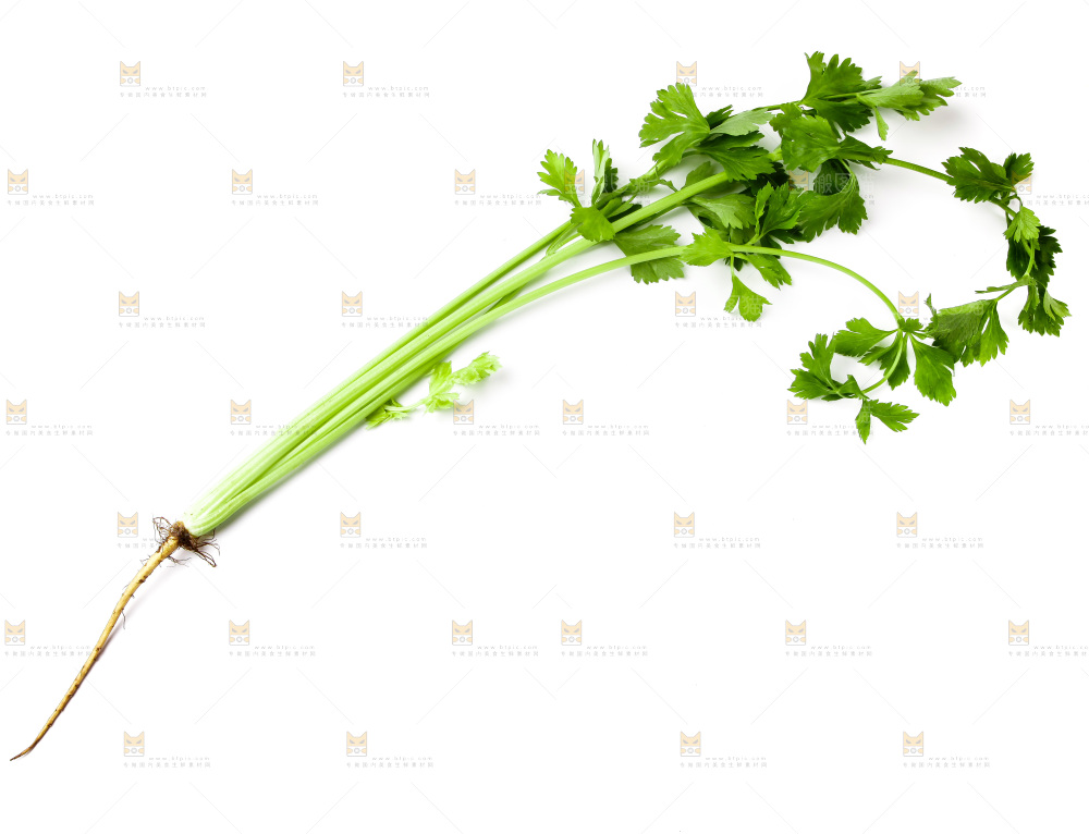 白底上摆放着芹菜