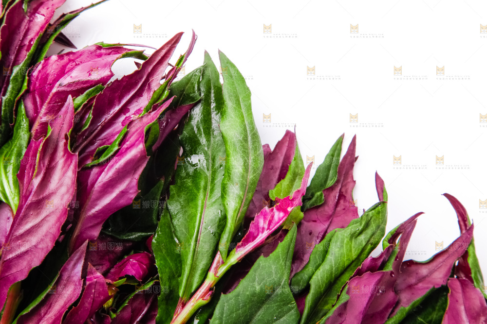 浅底上放着紫背菜