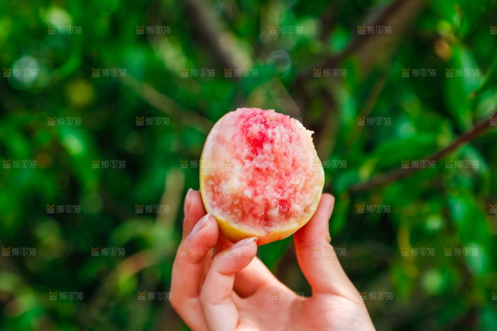 手里拿着水蜜桃