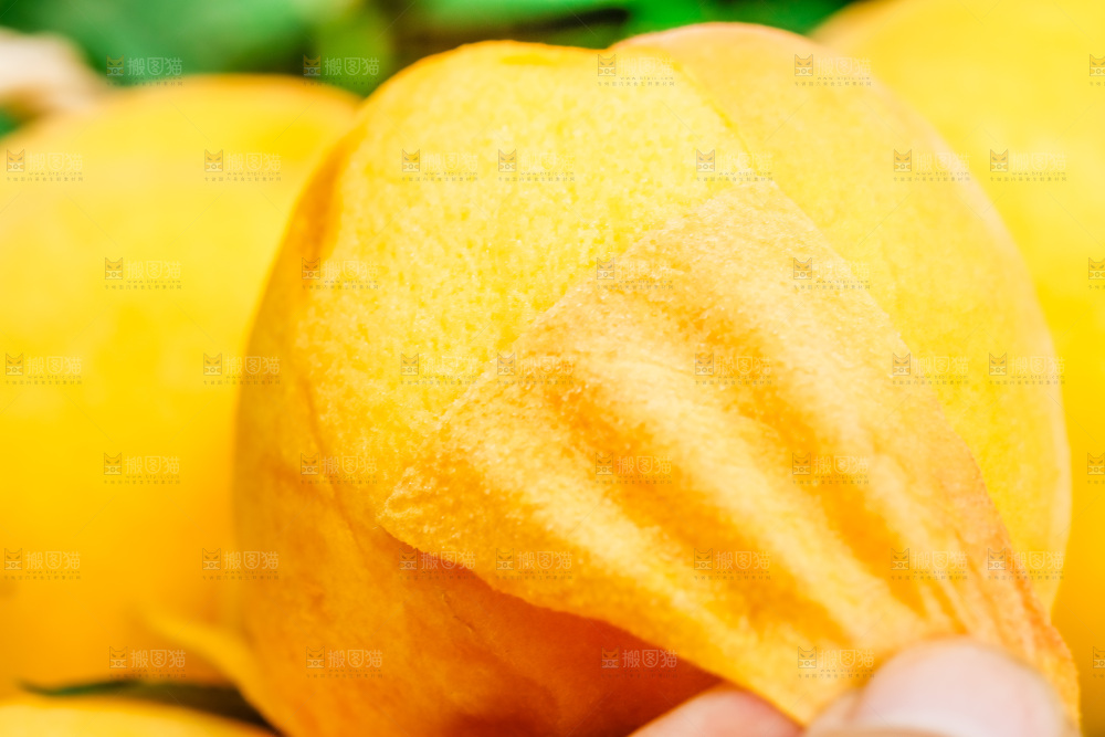 剥皮的了黄肉毛桃