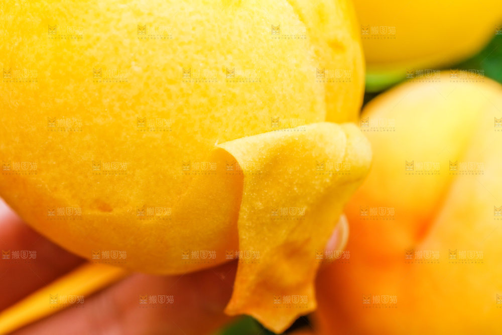 手里拿着桃子