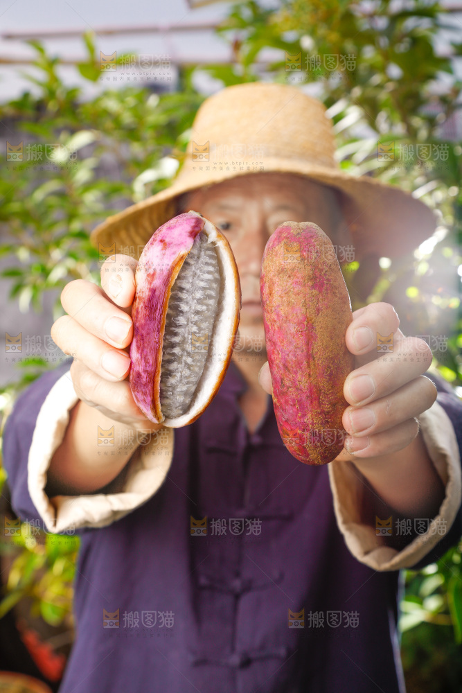 手里拿着新鲜八月瓜