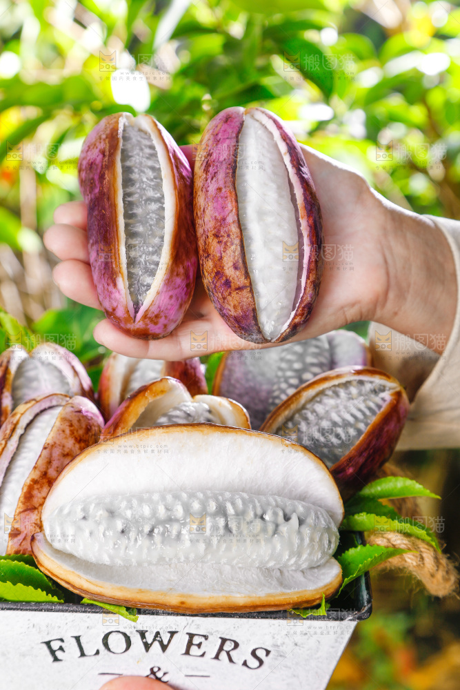 手里拿着新鲜八月瓜
