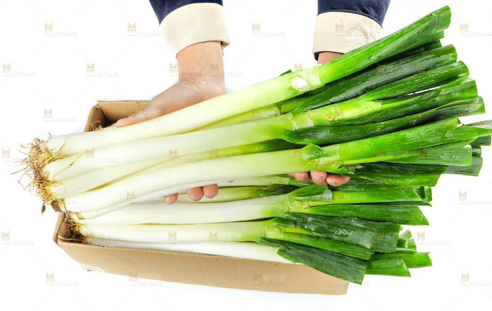 白底上的大葱