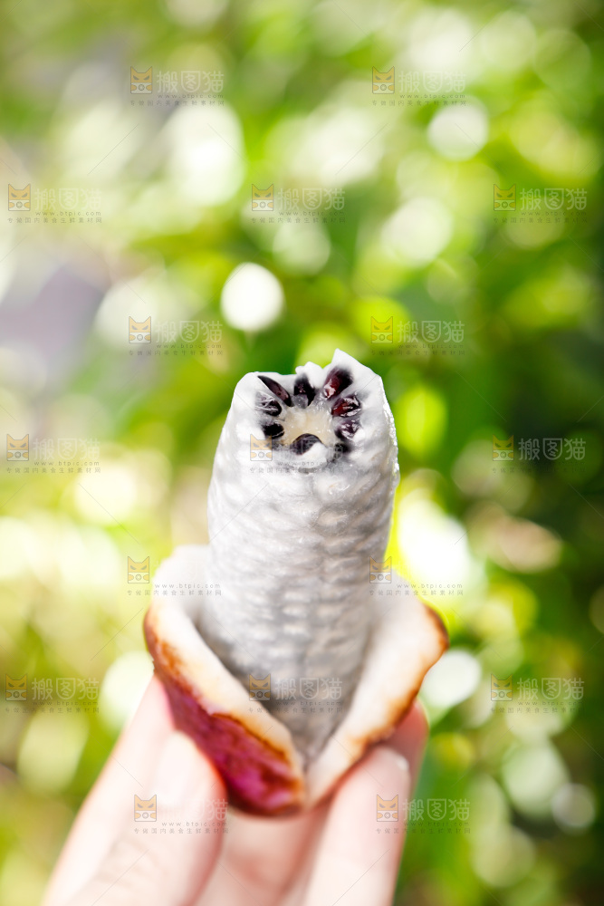 手里拿着云南八月瓜