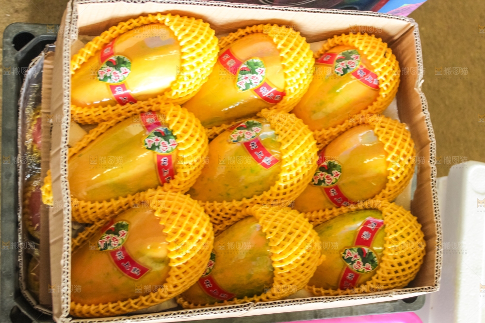 箱子里的牛奶木瓜