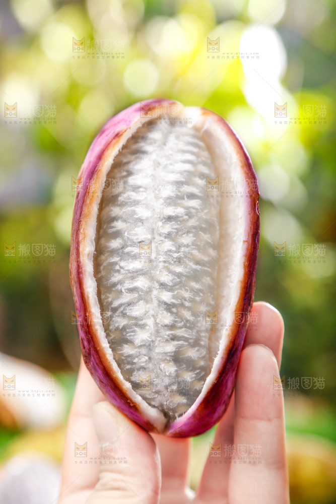 手里拿着云南八月瓜