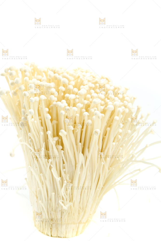 白底上的金针菇