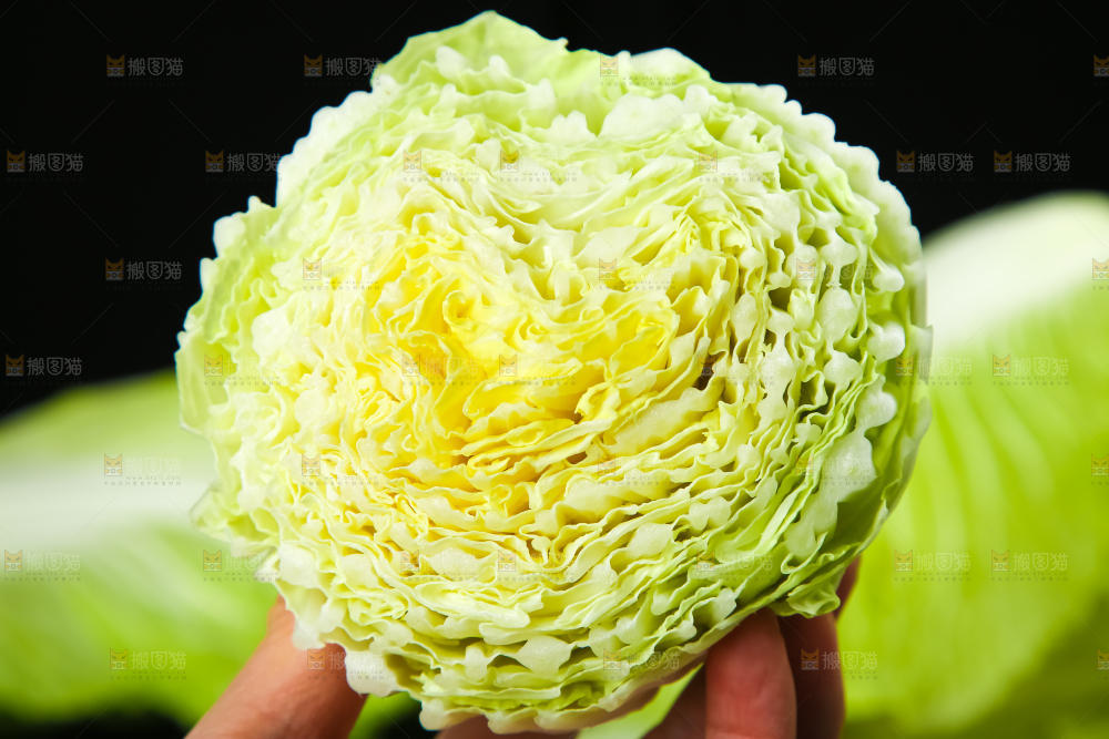 黑底上放着大白菜