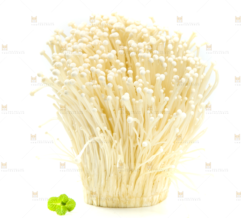 白底上的金针菇