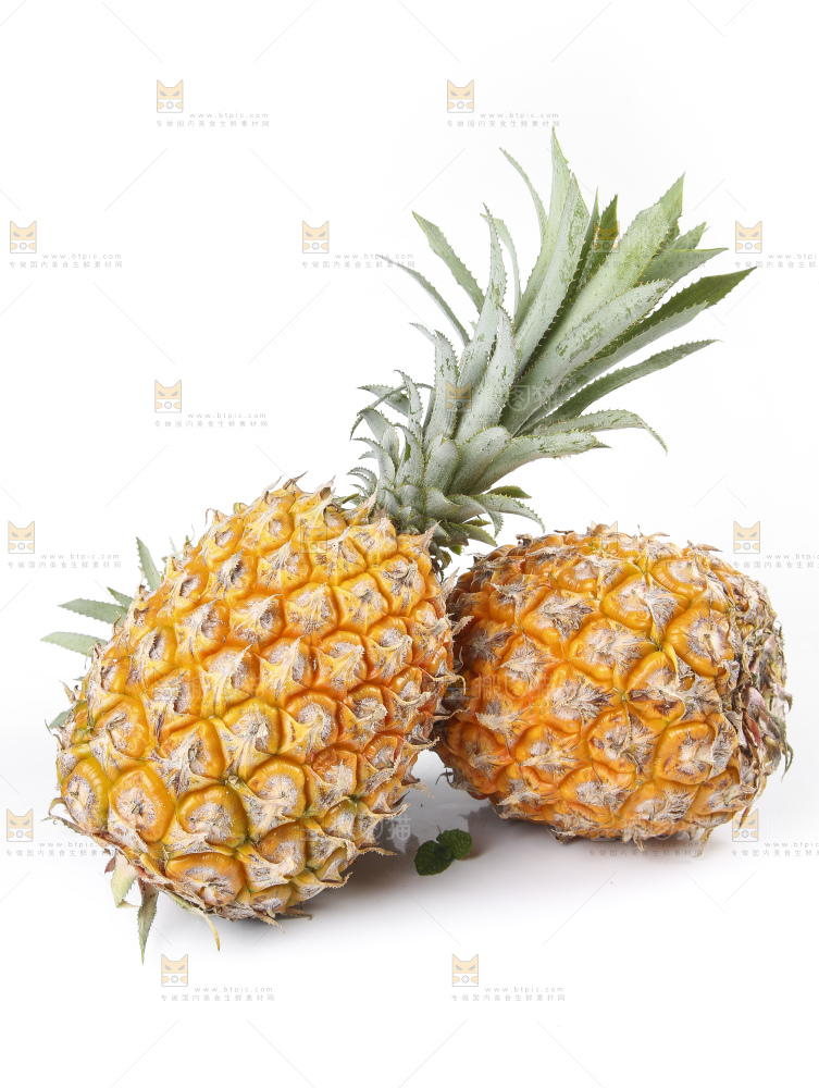 白底上的新鲜菠萝