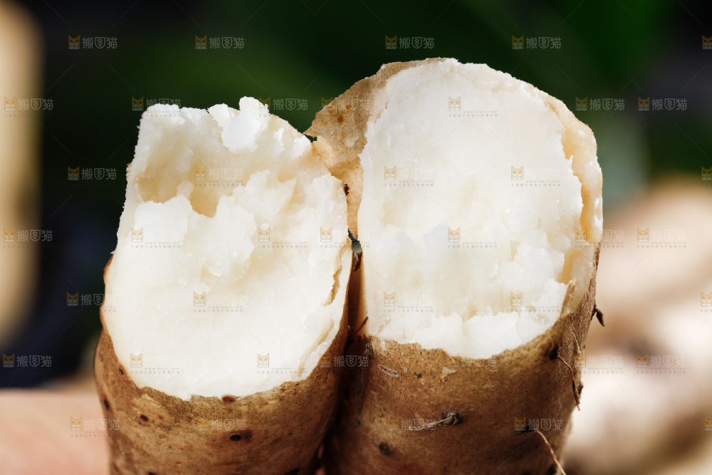 手里拿着怀山药