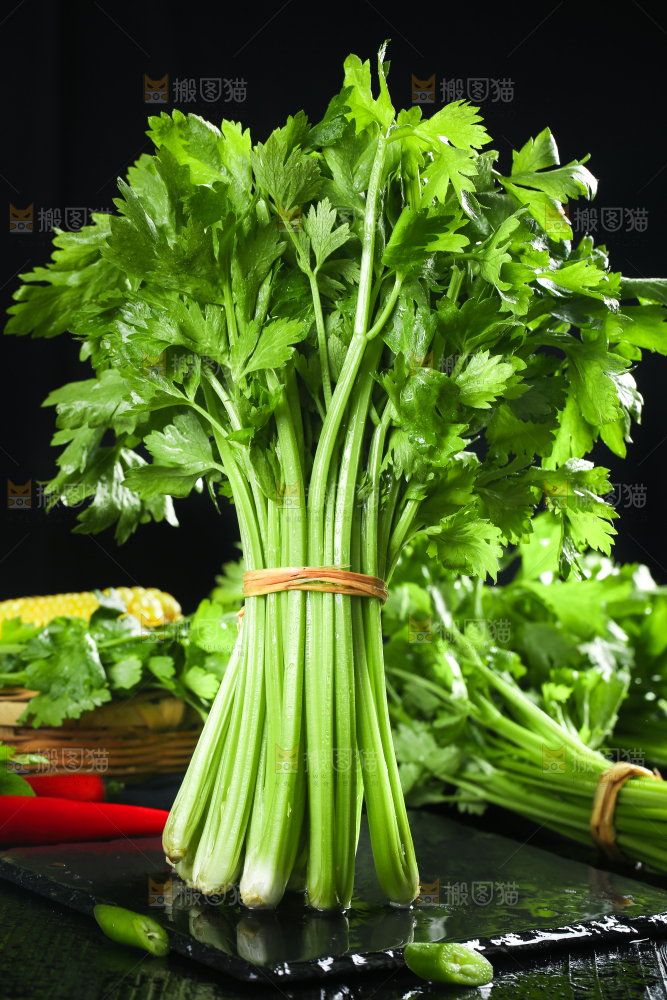 黑底上放着小芹菜