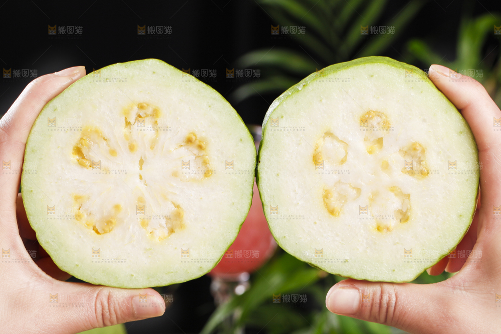 手里拿着广西白心芭乐
