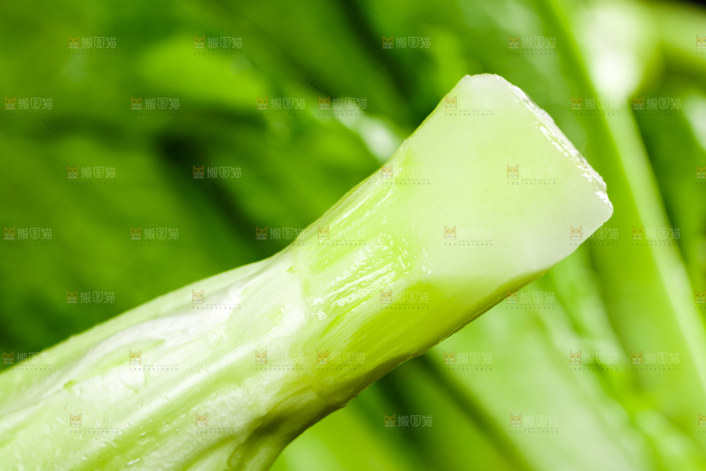 黑底上的油麦菜