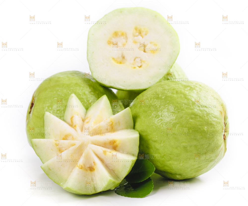 白底上的广西白心芭乐