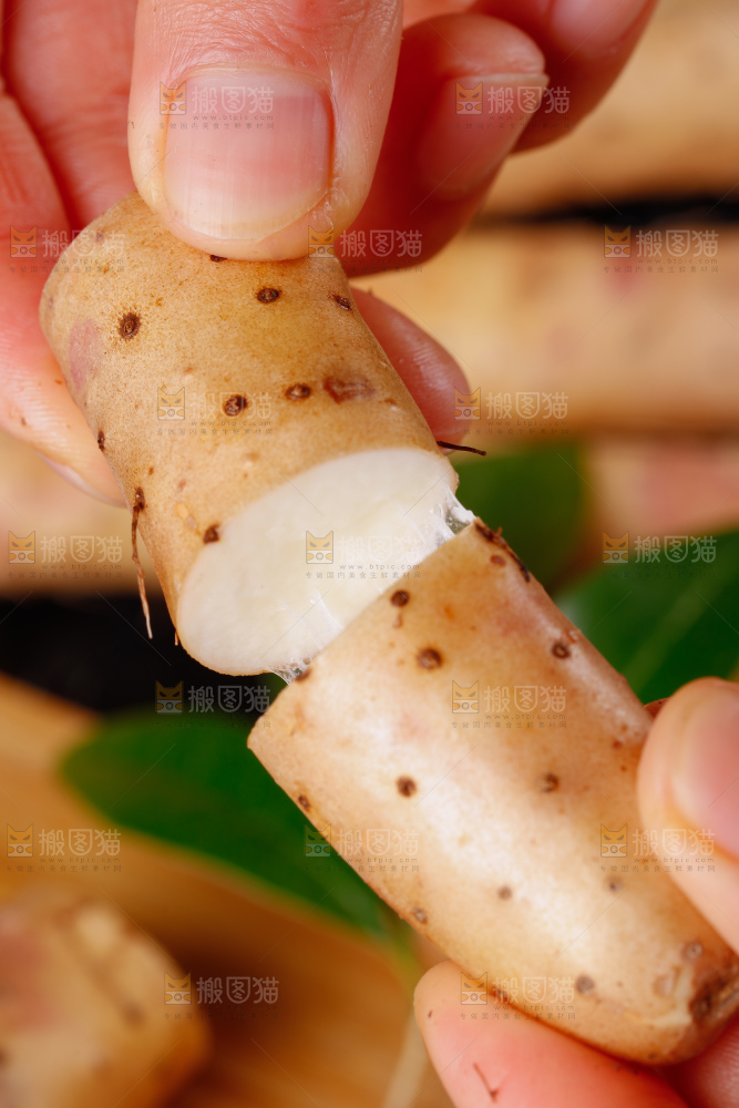手里拿着小白嘴山药