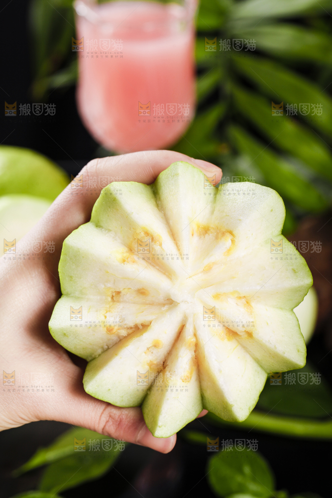手里拿着广西白心芭乐