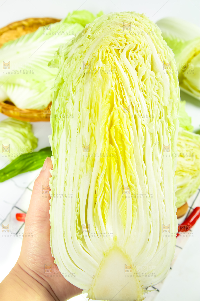 格子底上放着大白菜