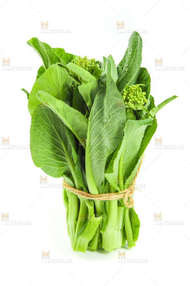 白底上的一把新鲜菜心
